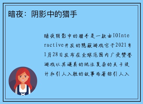 暗夜：阴影中的猎手